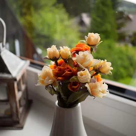 公寓 Apartmany Kubova Hut *